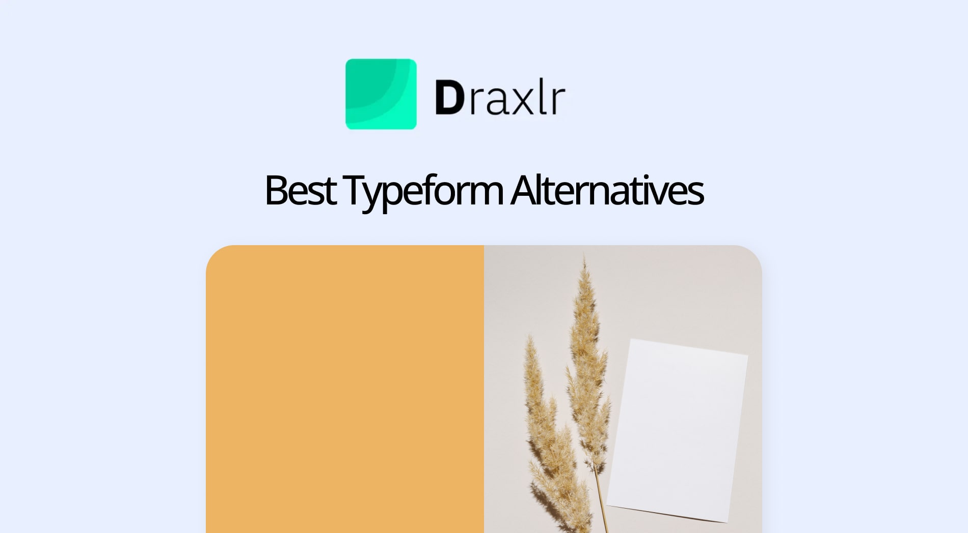 Best 5 Typeform Alternatives to Choose